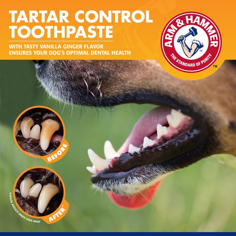 Arm & Hammer Puppy Tartar Control Training Kit, Vanilla Ginger photo 4