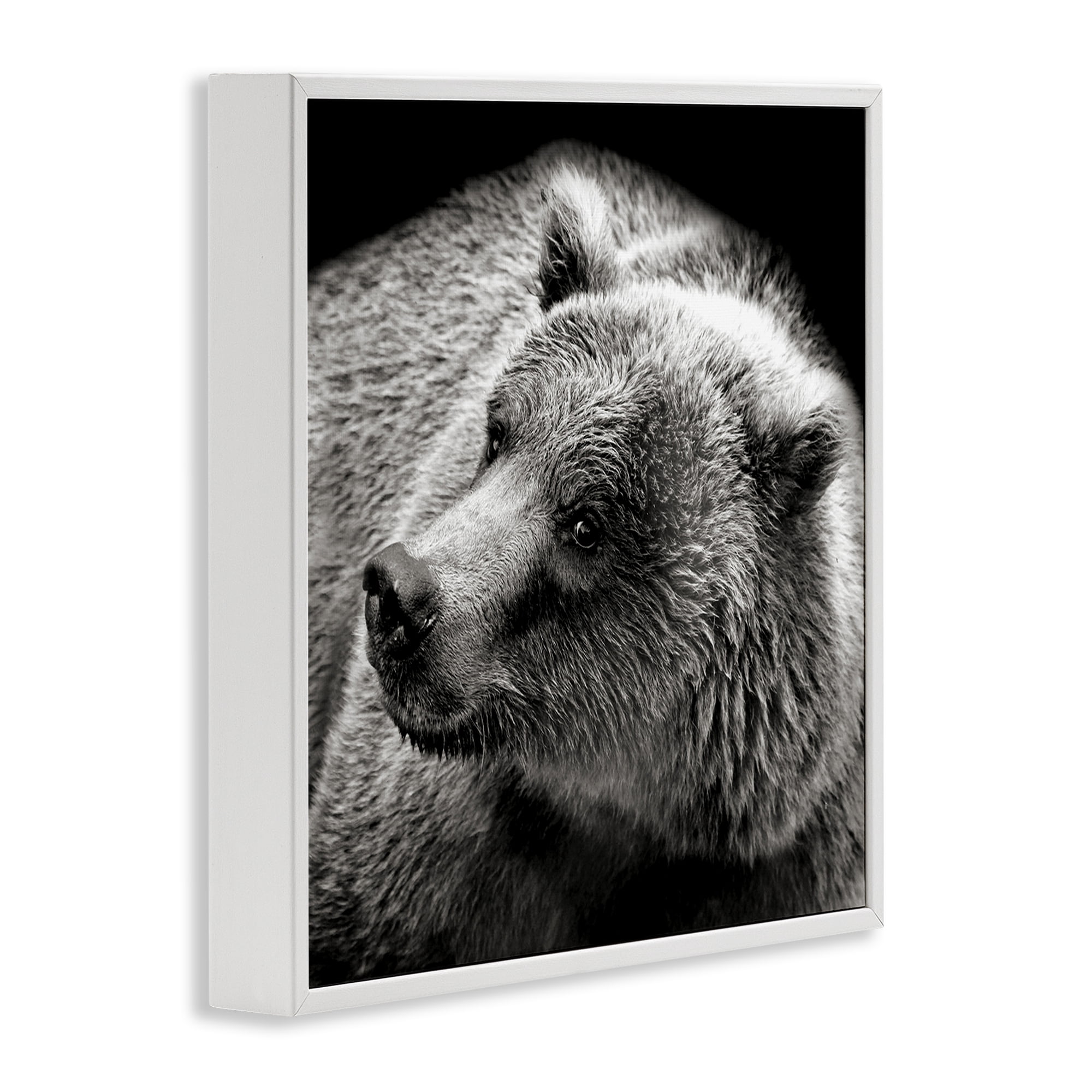 Stupell Industries Bear Looking Left Animals & Insects Photography White Framed Art Print Wall Art, 24 x 24