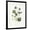Black Frame, variant on Art.com Sweet Violets Stretched Canvas Print Wall Art by Gwendolyn Babbitt, 24" x 32"