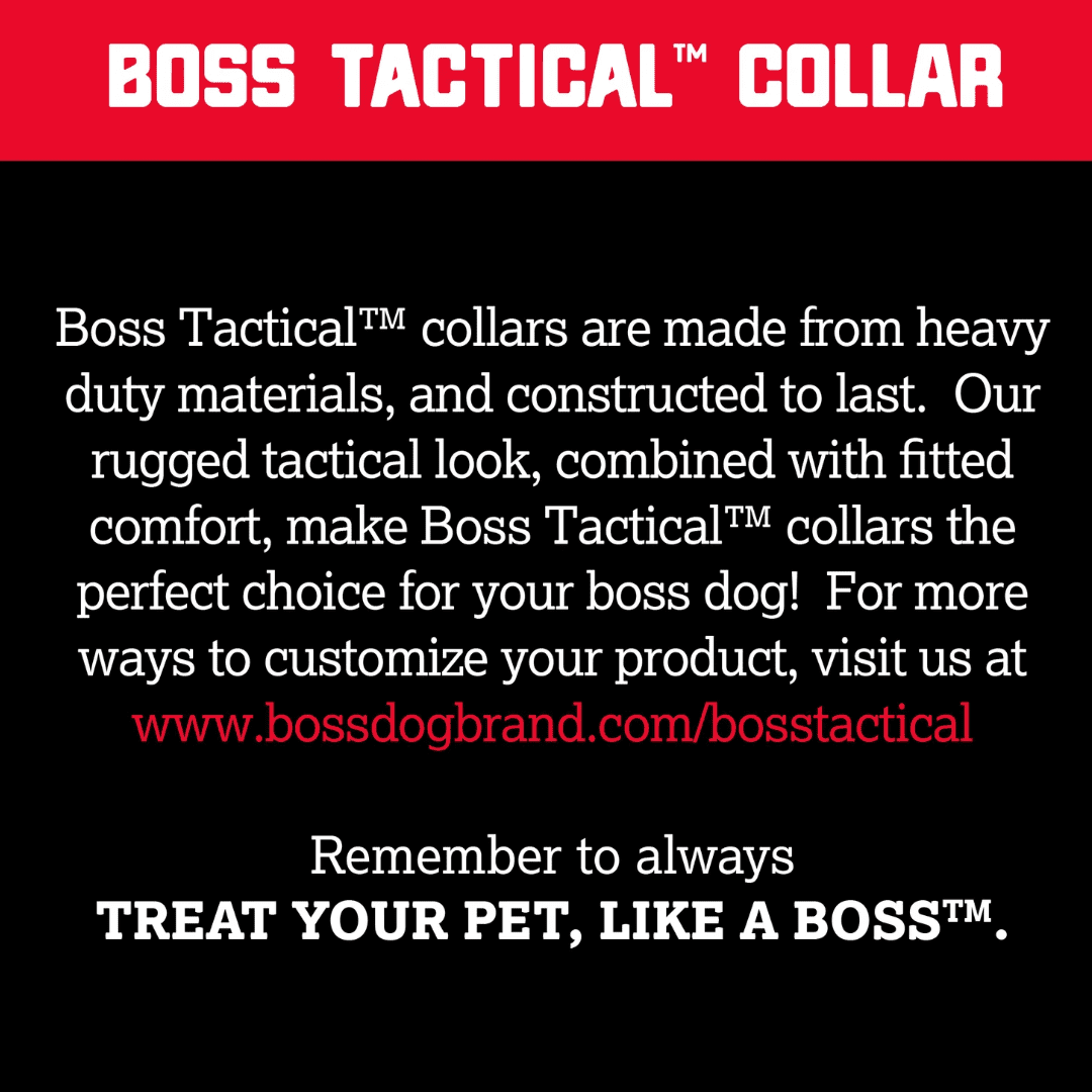 Boss Dog Tactical Collar, Blue, Medium