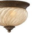 thumbnail image 7 of Hinkley Lighting - Two Light Flush Mount - Outdoor - Plantation - 2 Light, 7 of 7