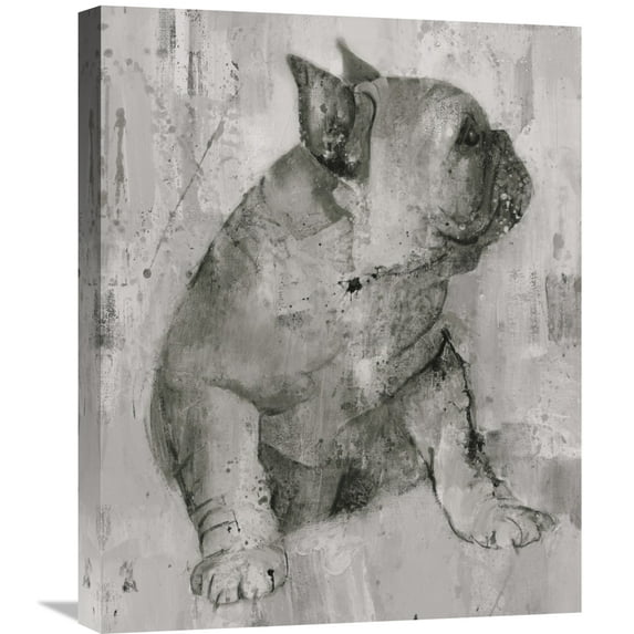 Global Gallery Albena Hristova 'Duke in Grey Tones' Canvas Wall Art