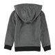thumbnail image 2 of Reebok Boys Power 1895 Hoodie Sweatshirt, gray, Little Kids (4-7), 4, 2 of 2