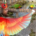 thumbnail image 3 of Disfraz de pájaro, alas de loro para niños con máscara de pájaro, alas de disfraz de águila para niñas, niños, juegos de rol de Halloween, favores de fiesta, 3 of 3
