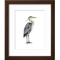 thumbnail image 2 of Sea Bird V, Animals Framed Art Print Wall Art by Grace Popp Sold by Art.Com, 2 of 5