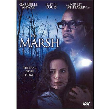 Marsh