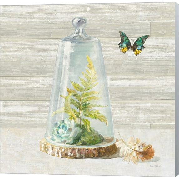 Succulent Garden IV by Danhui Nai, Canvas Wall Art