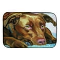 thumbnail image 1 of Carolines Treasures 7420DDM Chocolate Labrador Waiting Dish Drying Mat, 1 of 1