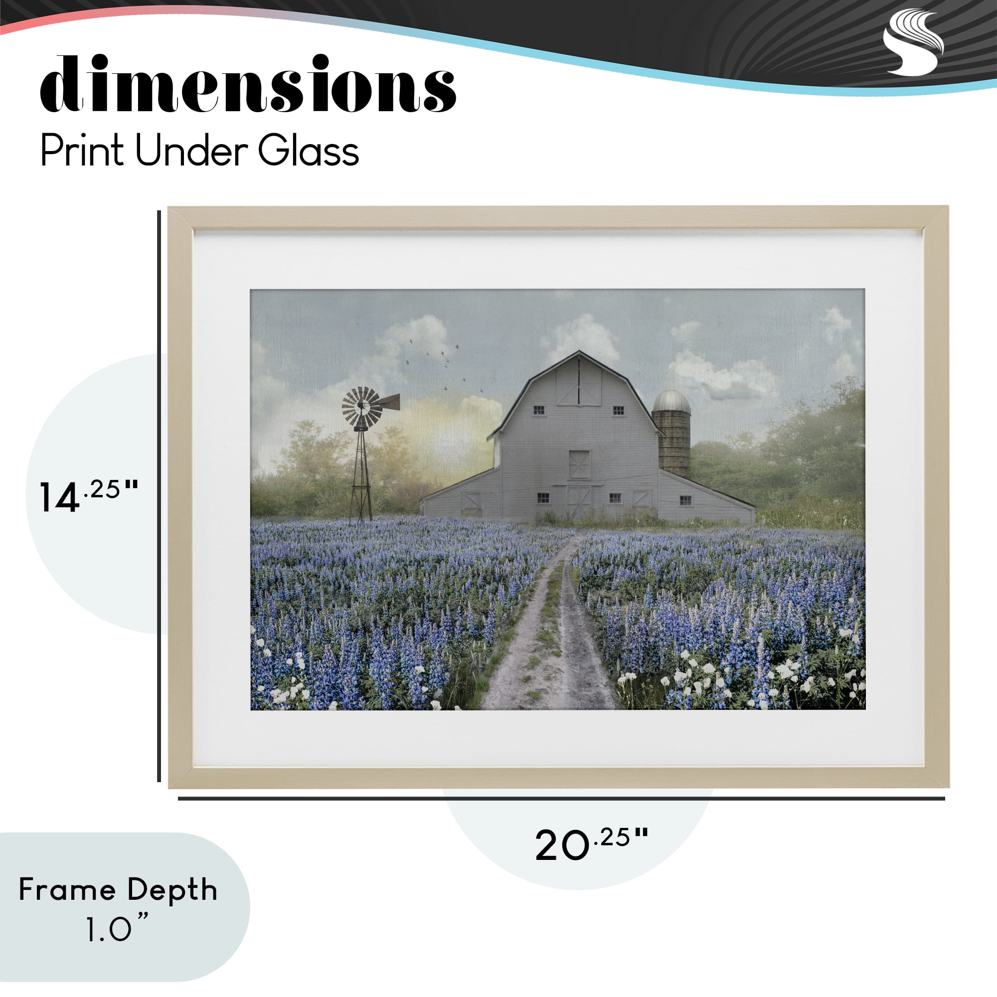 Stupell Industries Meadow of Blue Flowers & Barn Birch Framed Print Under Glass, design by Nan