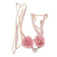 thumbnail image 1 of OUNONA Laisse pour Chat pour la Course avec Harnais pour Chat Ajustable Rose 1 Pcs, 1 of 5