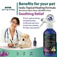 thumbnail image 4 of Allergy Medication For Dog Cat Itchy Skin Relief Dog Skin And Coat Supplement Anti Itch Relief Anti Hot Spot Paw Cleaner Soother Treatment Best Dog Moisturizer For Dry Skin Pet Wound Care Spray (16oz), 4 of 5