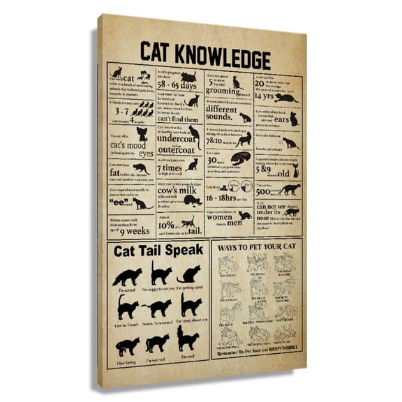 Cat Knowledge Poster Educational Wall Art Infographic Poster Artwork Contemporary Farmhouse Kitchen Decorative Prints Picture Painting Canvas for Living Room Unframed 12×18 in