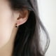thumbnail image 5 of Pendientes de plata mini fiesta de bodas tachuelas de la oreja de la moda joyería de joyas de vacaciones personalizadas accesorios de mujeres 1 par Inevent AP009867-01, 5 of 7