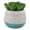 Teal, variant on 5" Artificial Cactus in Ceramic Pot, by Flora Bunda