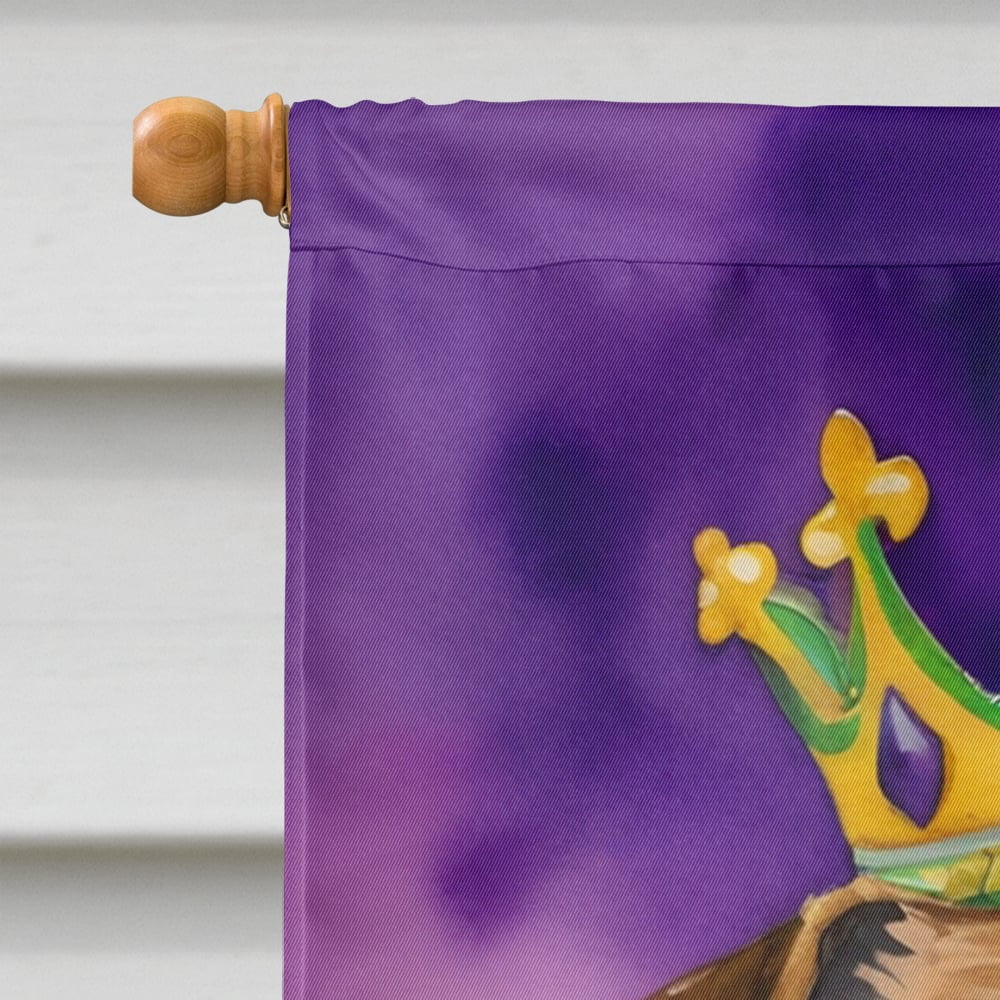 Border Terrier King of Mardi Gras House Flag 28 in x 40 in