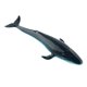 thumbnail image 1 of Vogacara Realistic Animal Model Education Soft Figure Toy Kids Juguetes Educativos Ballena azul, 1 of 1
