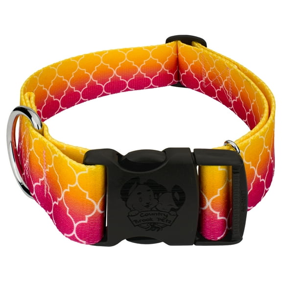 Country Brook Petz® 1 1/2 inch Deluxe Fabulous Ombre Dog Collar, Large