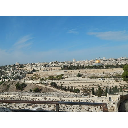 Canvas Print View Olives Temple Jerusalem Palm Sunday Mount Stretched Canvas 10 x (Paper View The Best Of The Sunday Times Television Reviews)