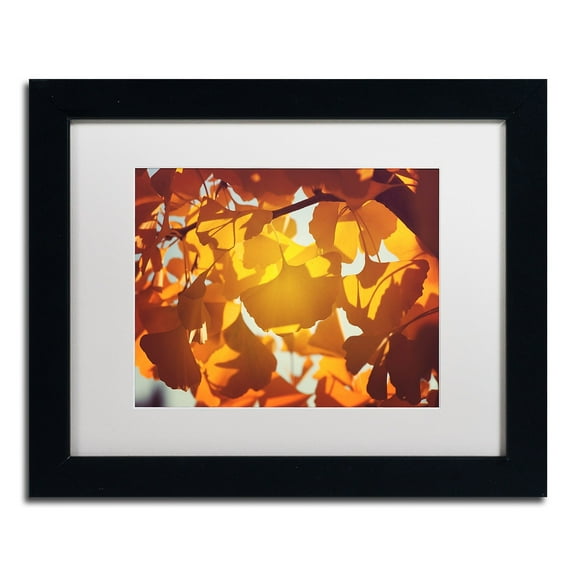 Trademark Fine Art "Ginkgo Leaves" Canvas Art by Philippe Sainte-Laudy White Matte, Black Frame