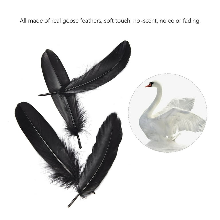 50pcs White & Black & Pink Goose Feathers 15-20cm Natural Feather for a  Variety of Crafts and Apparel 