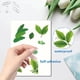 thumbnail image 3 of 8 hojas de pegatinas de pared de hojas verdes para ventanas, vinilos autoadhesivos impermeables para despegar y pegar., 3 of 9