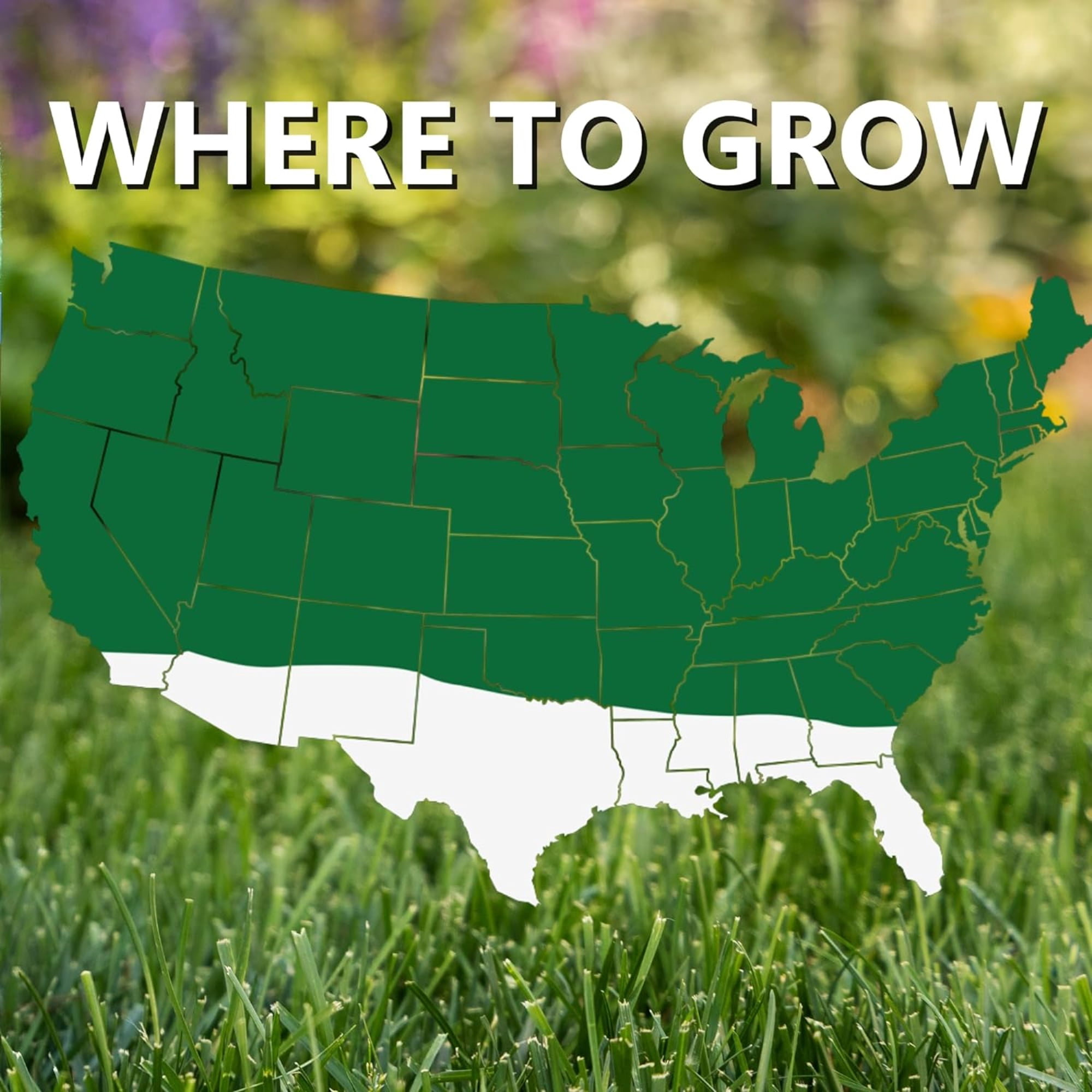 Jonathan Green Pasture Grass Mixture (Covers up to 21,780 sq ft) 25lb