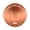 A, variant on HOARBOEG Pure Copper Tray for Chicken Waterers – 4" Disc for Bottom of Water Trough, Natural Algae-Inhibiting Copper Plate to Help Keep Poultry Drinking Water Fresher, Coop Accessory