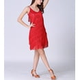 thumbnail image 5 of Fringe Latin Salsa Roaring 20s 1920s Style Ballroom Dancing Dresses, 5 of 7