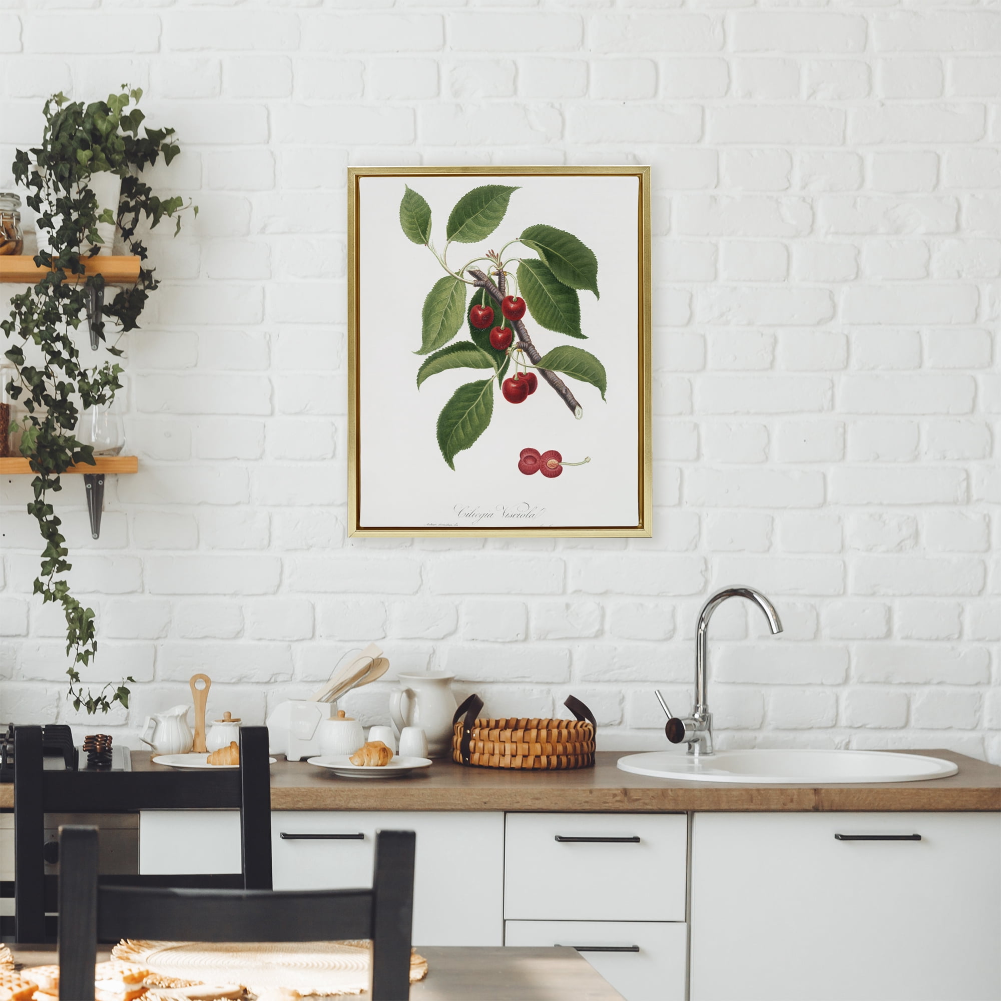 Latin Study of Cherry Plant Gold Framed Floater Canvas Wall Art, design by Lettered and Lined