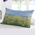 thumbnail image 5 of Spring Floral Throw Pillow Cover 20 x 30 Inch Decorative Pillow Cover Pastoral Botanical Oil Painting Modern Art Lumbar Pillowcase Seasonal Rectangle Cushion Case for Couch Sofa Bed Living Room, 5 of 7
