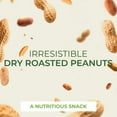 Beyond Nature, Dry Roasted Chopped Peanuts, 16 oz, Unsalted - Walmart.com