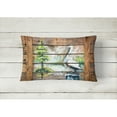 thumbnail image 2 of Carolines Treasures MW1215PW1216 Summer by the Lake White Pelican Fabric Decorative Pillow  12H x16W multicolor, 2 of 3