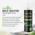thumbnail image 6 of (5 pack) Herbishh Rice Water Hair Growth Shampoo - 400ml with Power of Castor Oil, Argan & Coconut Oil & Biotin | All Hair Type | Hair regrowth for Thinning Hair, Moisturizing & Volumizing | Silicone Free, 6 of 9