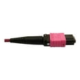 thumbnail image 5 of Eaton Tripp Lite Series 400G Multimode 50/125 OM4 Plenum Fiber Optic Cable, 16F MTP/MPO-APC to MTP/MPO-UPC (F/F), Magenta, 1 m - Network cable - MTP/MPO/APC multi-mode (F) to MTP/MPO/UPC multi-mode (F) - 1 m - fiber optic - 50 / 125 micron - OM4 - plenum - black, magenta, green, 5 of 5