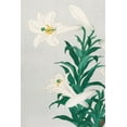 thumbnail image 2 of Koson, Ohara 23x32 Black Ornate Wood Framed with Double Matting Museum Art Print Titled - Lilies, Ohara, 2 of 4