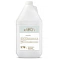 thumbnail image 1 of Après-shampooing Water Rituals Gallon/3.78 L 1/ Pack, 1 of 1