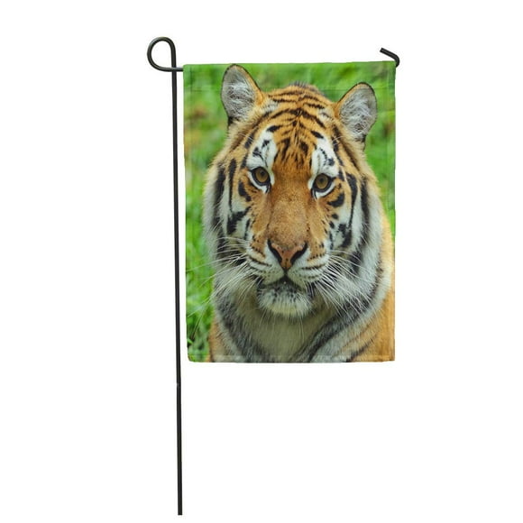 NUDECOR Face Portrait of Amur Tigers Cat Siberian Beast Garden Flag Decorative Flag House Banner 12x18 inch