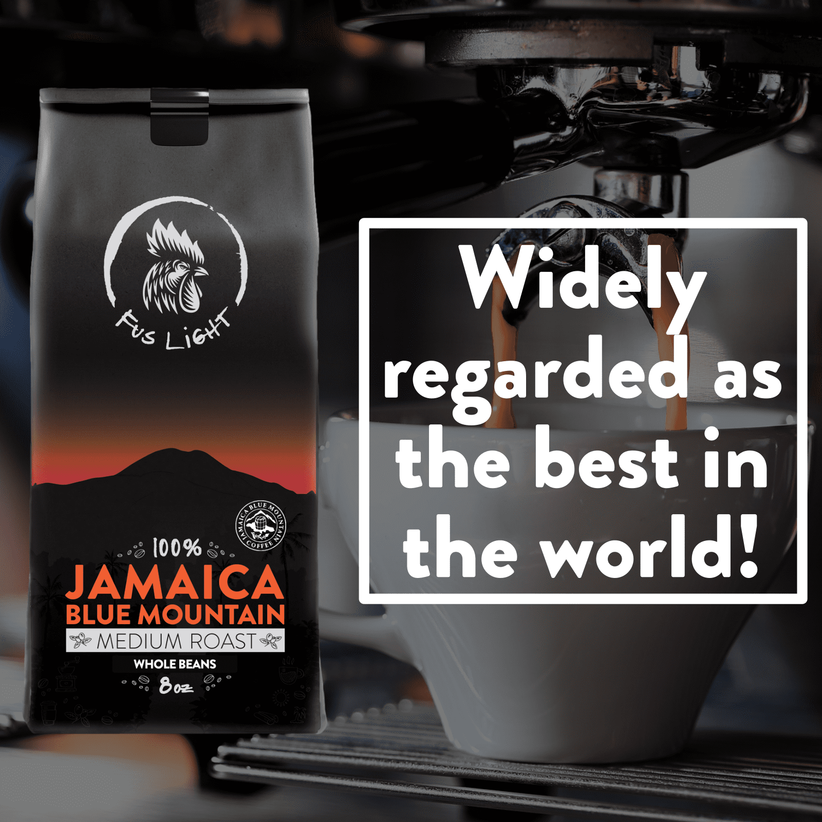 Fus Light Certified Authentic Genuine Blue Mountain Coffee from Jamaica 8 Ounce Whole Beans Farm to Cup Medium Roast