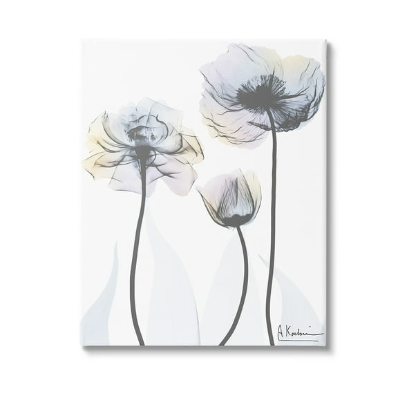 Stupell Industries Poppy Flower Trio Botanical & Floral Photography Gallery Wrapped Canvas Art Print Wall Art, 16 x 20