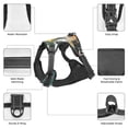 thumbnail image 6 of Fotbe Seashell On The Beach Pattern Dog Harness, No-Pull Pet Harness with 2 Leash Clips, Adjustable Soft Padded Dog Vest with Easy Control Handle for Large Dogs-Small, 6 of 6