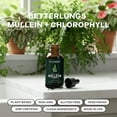 thumbnail image 2 of Betterbrand Mullein Drops for Lung Detox - Mullein Leaf Tincture with Chlorophyll - Helps support respiratory health, Alcohol-Free, 1 month supply - 60ml, 2 of 9