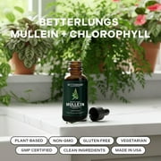 Betterbrand Mullein Drops for Lung Detox - Mullein Leaf Tincture with Chlorophyll - Helps support respiratory health, Alcohol-Free, 1 month supply - 60ml