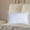 White, variant on JilgTeok Home Essential Clearance Polyester Pillows Standard Size, Bed Pillows for Sleeping, Pillow Core for Back, Stomach or Side Sleepers(29.1*18.8in)