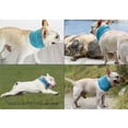 thumbnail image 4 of LingStar Pet Ice Scarf Summer Cool Comfortable Breathable Ice Silk Collar Cooling TowelExercising, 4 of 7