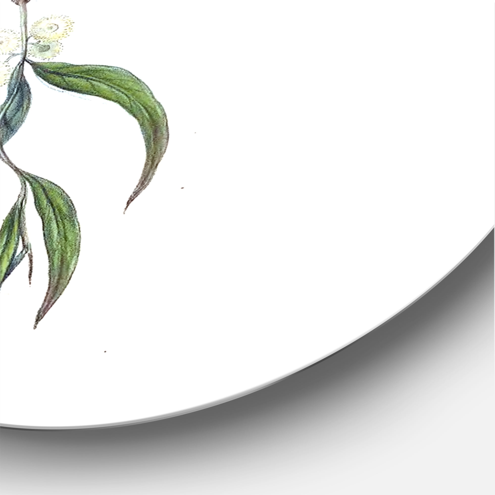 Designart 'Ancient Bird Life III' Traditional Circle Metal Wall Art 36x36 - Disc of 36