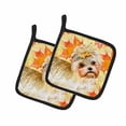 thumbnail image 2 of Carolines Treasures BB9929PTHD Morkie Automne Paire de Porte-Pots, 2 of 4