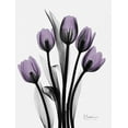thumbnail image 2 of Koetsier, Albert 12x14 Black Ornate Wood Framed with Double Matting Museum Art Print Titled - Five Tulips in Purple, 2 of 4