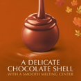 thumbnail image 5 of LINDOR Harvest Assorted Milk Chocolate Candy Truffles, 15.2 oz. Bag, 5 of 8
