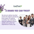 thumbnail image 4 of LeafLea 80 Premium Lavender Tea Bags, 100% Natural & Pure from Lavender Flowers, Nighttime Comfort, Smooth Taste, Caffeine-Free, 4 of 17