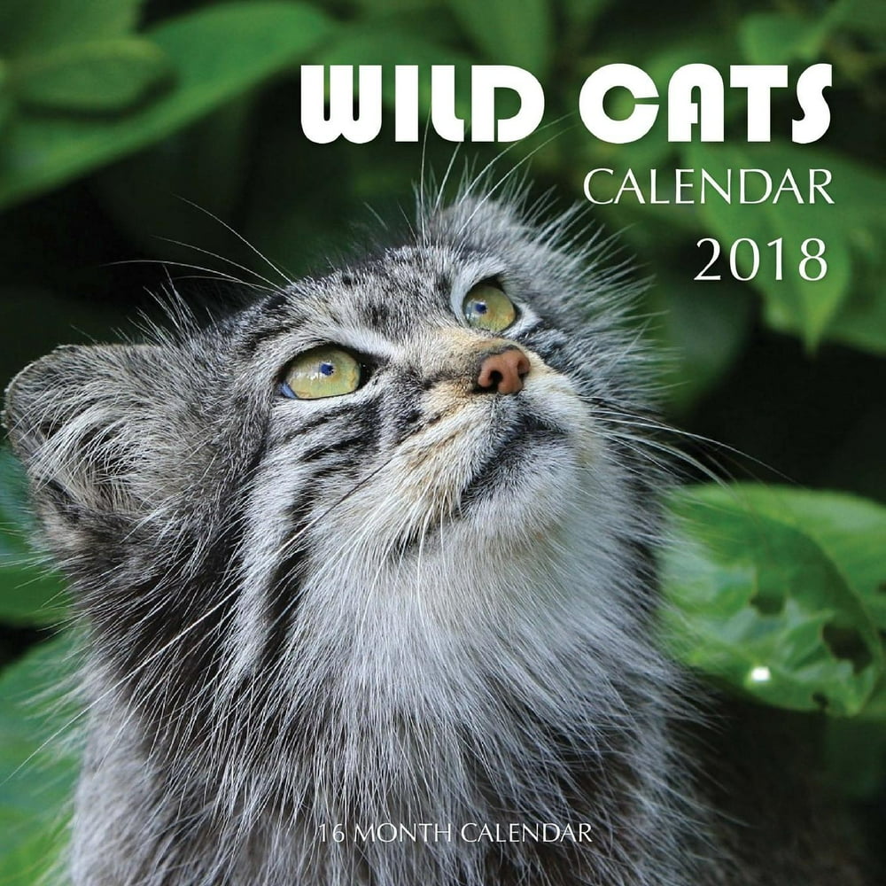 Wild Cats Calendar 2018 16 Month Calendar (Paperback)